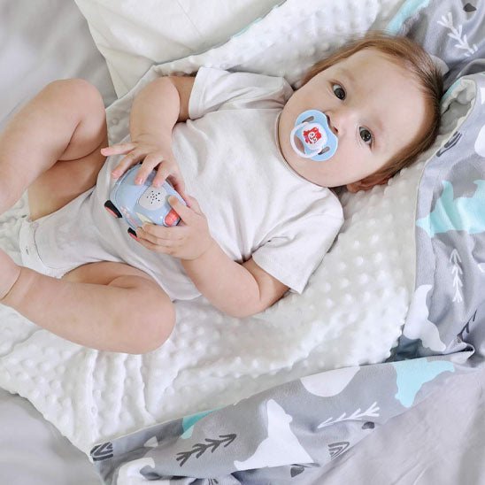 voiture et tetine bebe prelasse sur couverture bebe premium